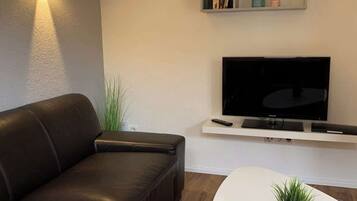 Fernseher, Arbeitsbereiche