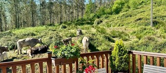 Los Valles: Spectacular cabin in a unique setting