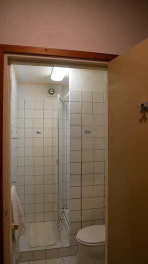 Bathroom - Cozy Family Home With Lovely Garden (Kamperland)