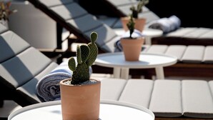 A sunlit outdoor seating area with lounge chairs and small potted cacti. - Private Pool, Chic, Step’s from beach in beautiful Puerto Escondido - WiFi, AC (Puerto Escondido)