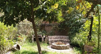 Agradable cabañita, con årea de parrilla y fogata