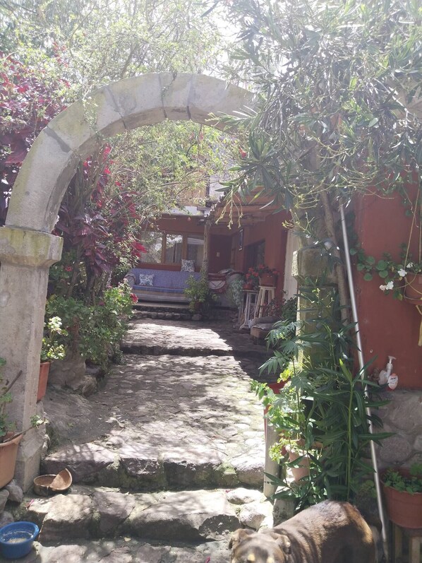 Terrein van de accommodatie