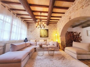 Televisión, chimenea, reproductor de DVD, libros