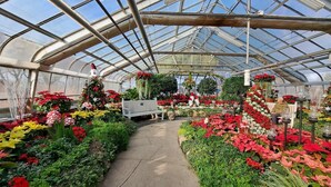 A greenhouse with a glass ceiling, pathways, benches, and various plants and flowers. - Exquisite Custom-Built 5 BDRM Multi-Level Estate (Mississauga)