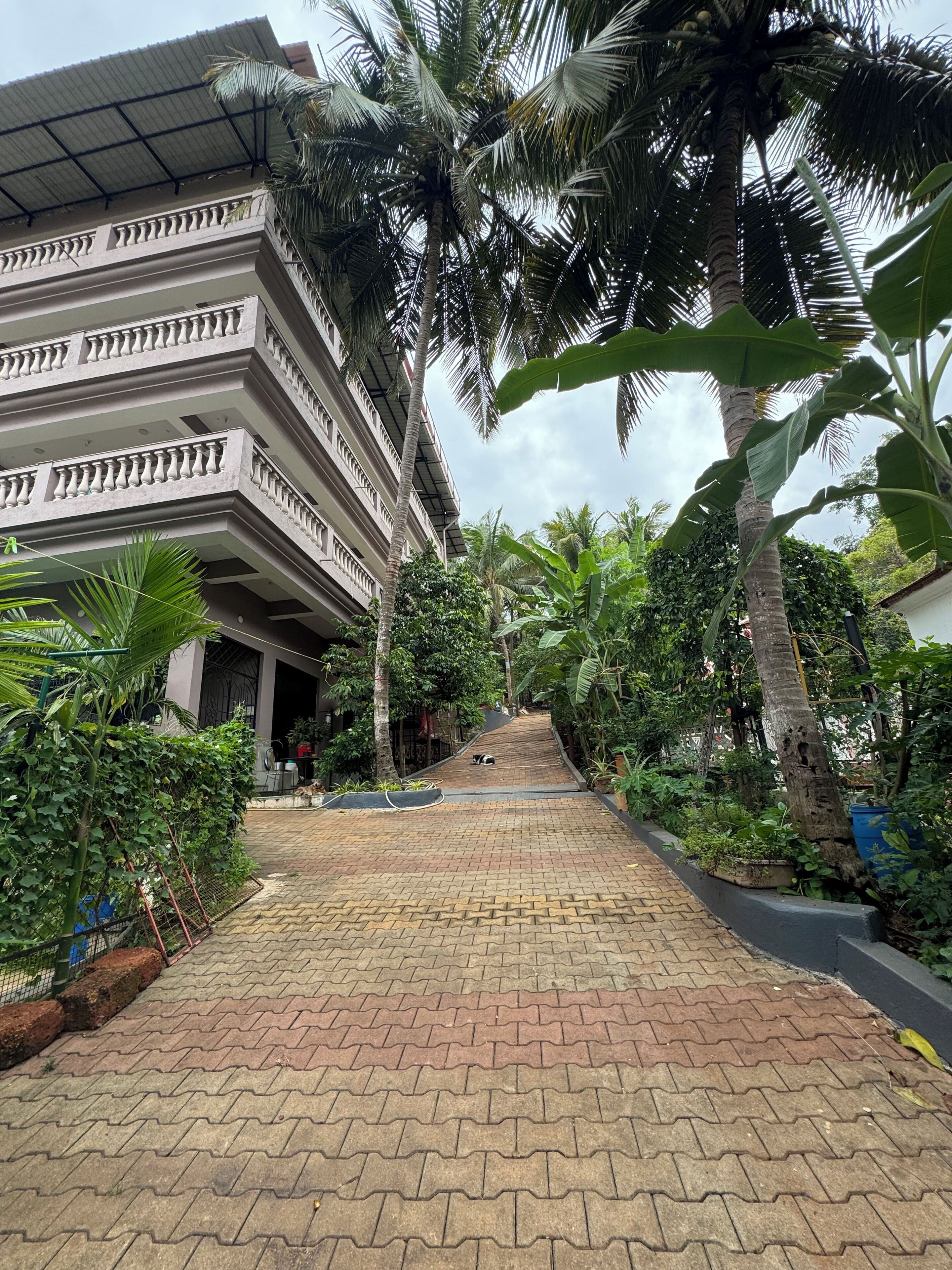 Terrein van de accommodatie