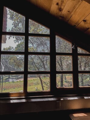 Vista desde la habitación