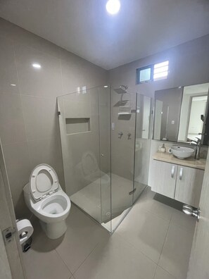 Shower, towels, soap, toilet paper