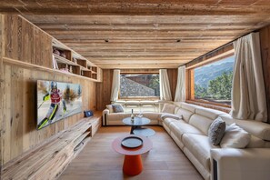 Télévision, cheminée, chaîne hi-fi