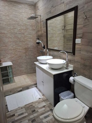 Sèche-cheveux, serviettes fournies, savon, papier toilette