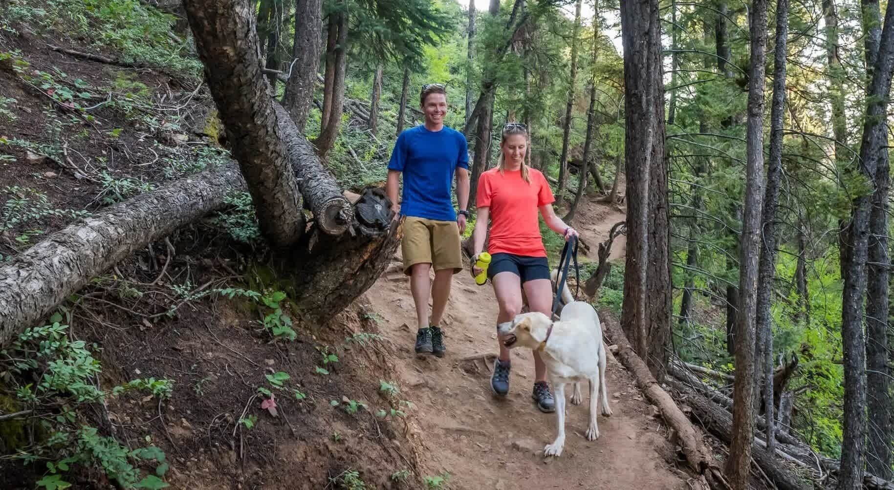 Un sendero en un bosque con dos personas y un perro.