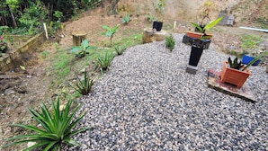 Um jardim com diversas plantas e um caminho de cascalho.