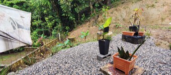 Corcovado Paradise Lodge