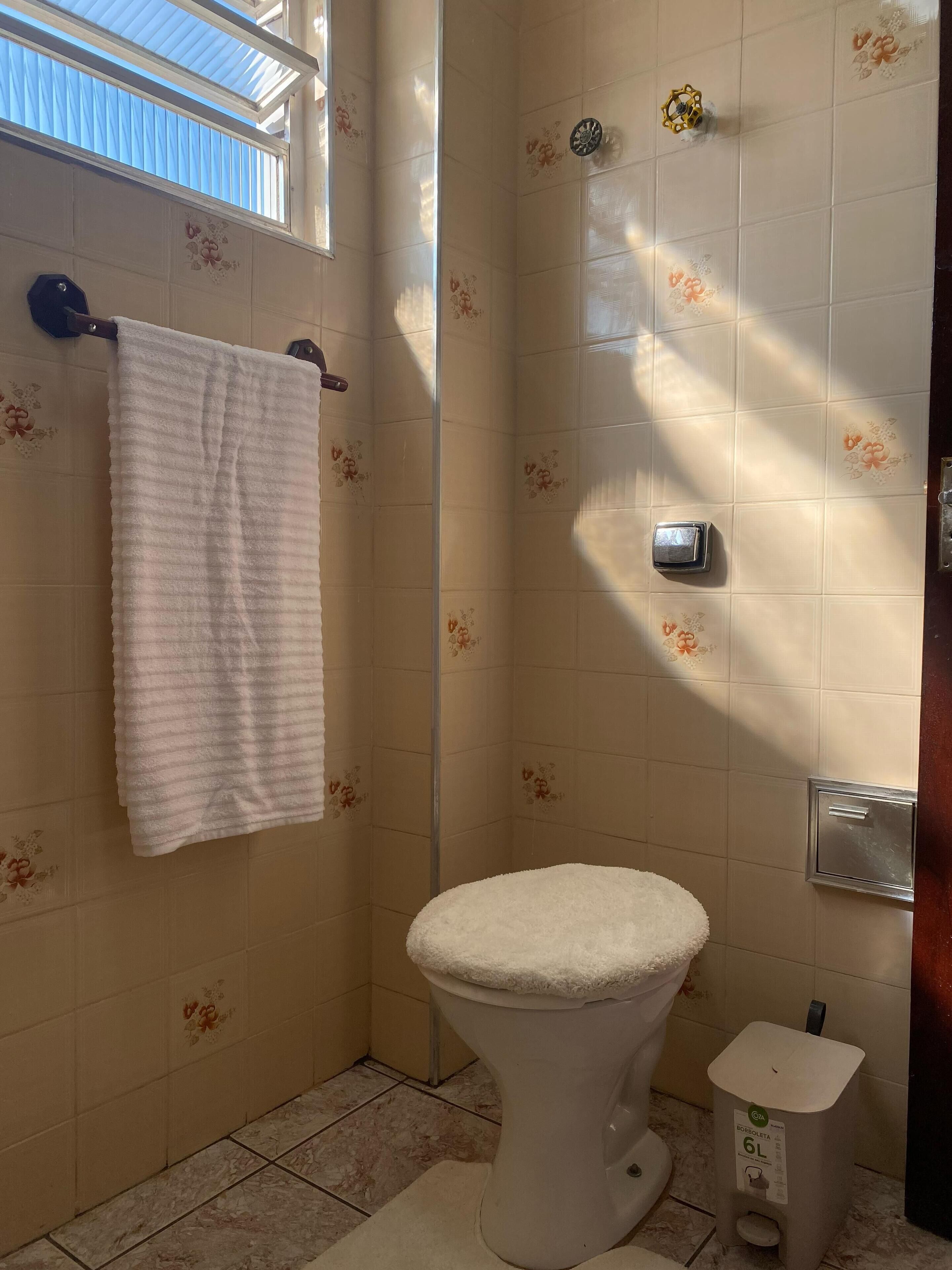 Chuveiro, toalhas de banho, papel higiênico 