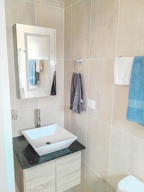 Shower, bidet, towels, soap