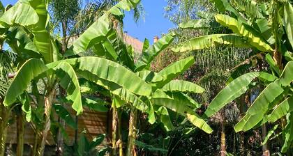 Location vacances Montpellier hyper-centre | Maison d'exception 12p piscine clim