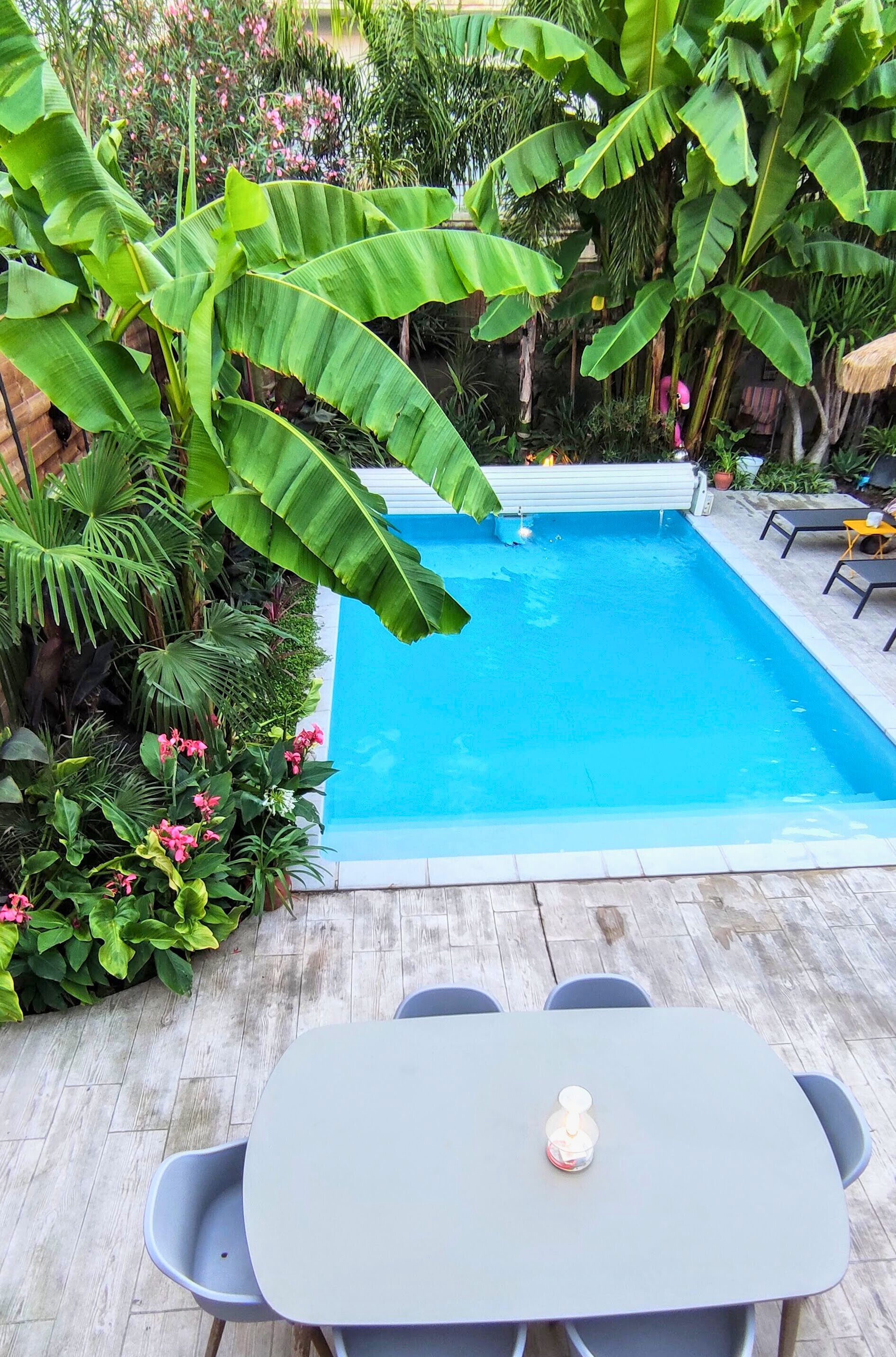 Ein rechteckiger Pool, umgeben von üppiger Vegetation, darunter Bananenbäume und blühende Pflanzen.