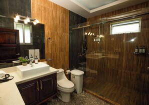 Shower, hair dryer, towels, toilet paper