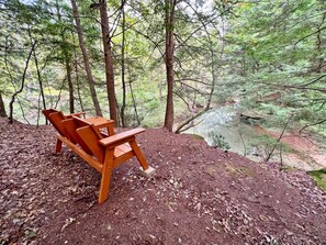 Property grounds - Creekside View Cabin:Dog-Friendly, Fire Pit-$Dsct (Rockbridge)