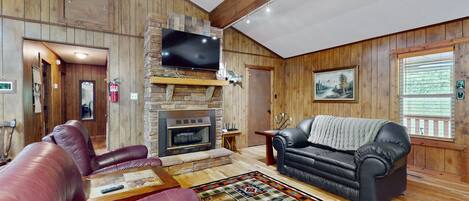 تلفزيون، مدفأة، مشغل دي في دي