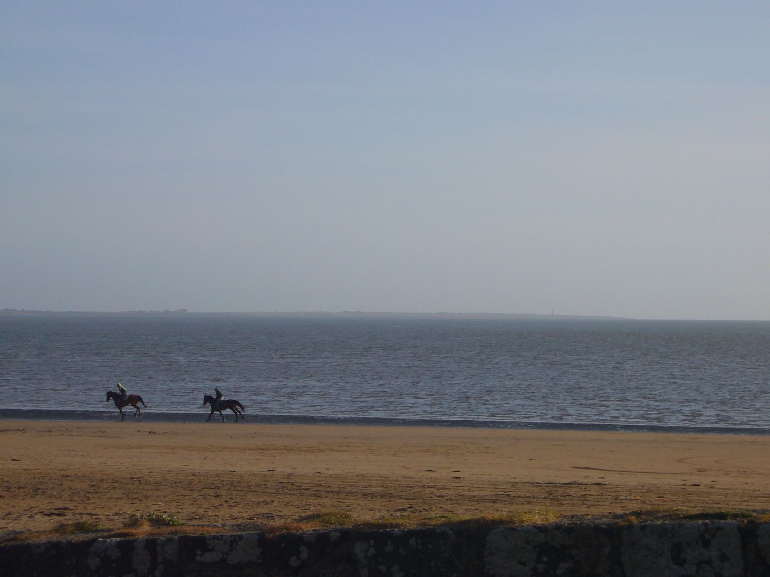 Une plage où l’on voit un cheval et son cavalier se promener le long du rivage.