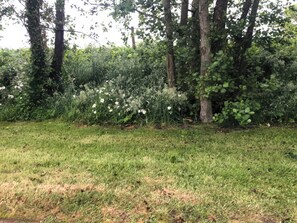 Property grounds - RIVER VIEW POD, pet friendly, with open fire in Muff, County Donegal (Muff)