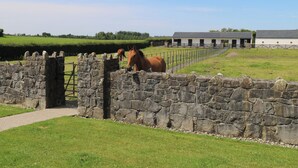 A stone wall with a gate, a horse, and a building in the background.