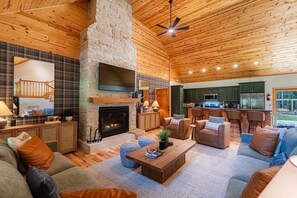 Smart TV, fireplace, books