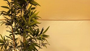Una habitación con una planta de bambú en una maceta negra, una silla de mimbre con un cojín gris y una cesta tejida sobre la silla.