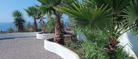 Terrain de l’hébergement