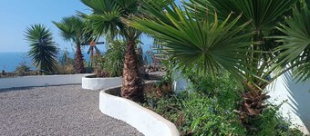 Sunny balcony and large garden, 10 minutes from the beach and kite park.
