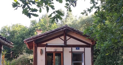 Chalet atypique dans la forĂȘt avec atelier d'artiste!