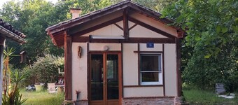 Atypical cottage in the forest with artist's studio!