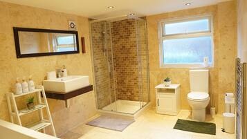Shower, hair dryer, bidet, towels