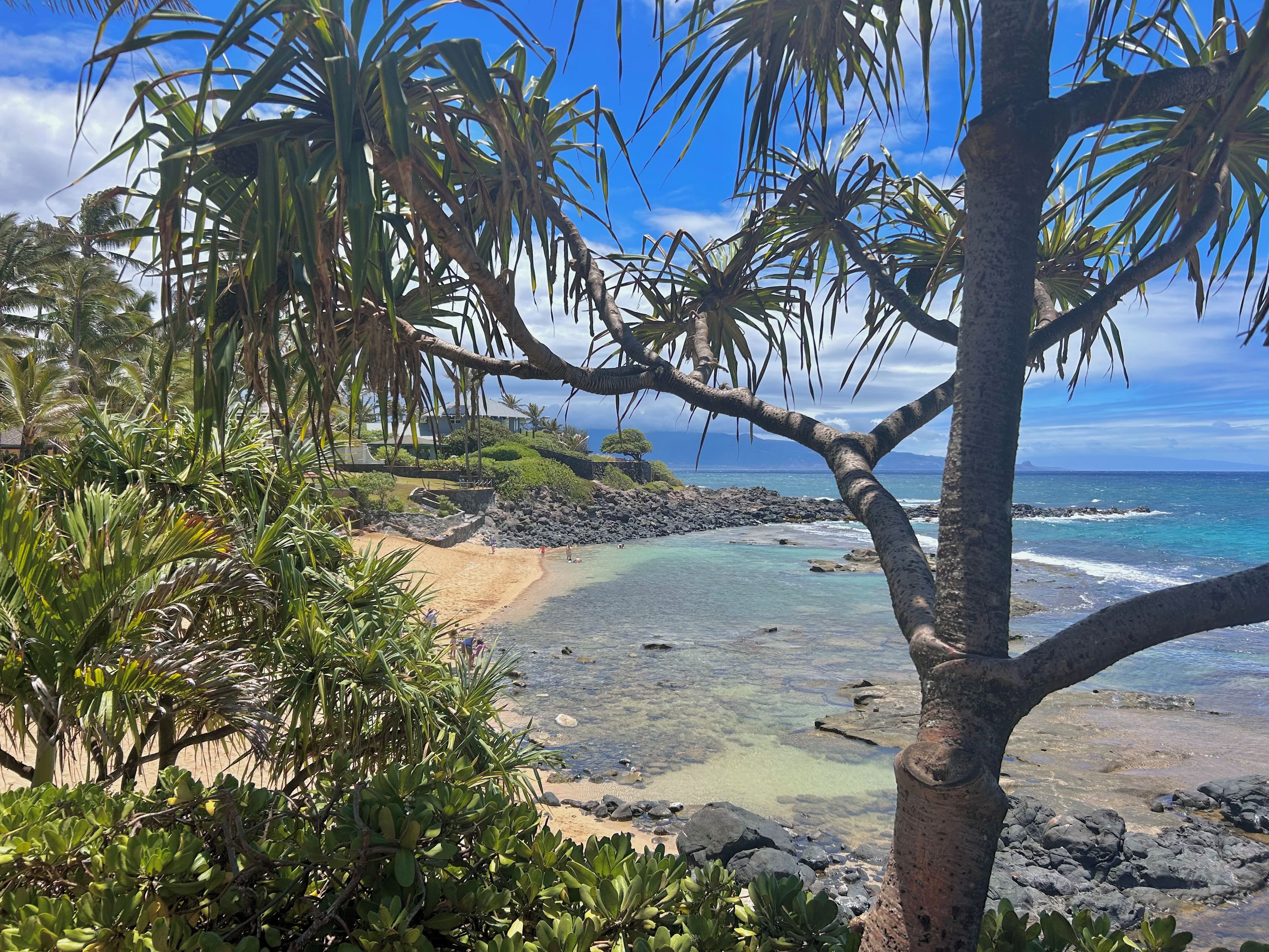 A tropical beach with clear waters, a rocky shoreline, and lush greenery.