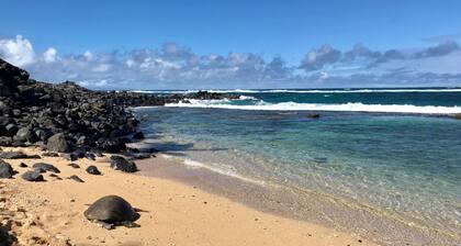 Locally-owned eco-friendly condo on Road to Hāna. 2-min walk to beach & seafood