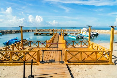 La RomanaDR SecludedJourney!