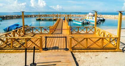 La RomanaDR SecludedJourney!