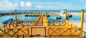 La RomanaDR SecludedJourney!