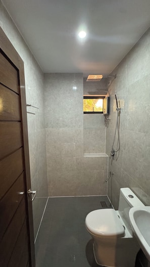 Chuveiro, secador de cabelo, toalhas de banho, sabonete
