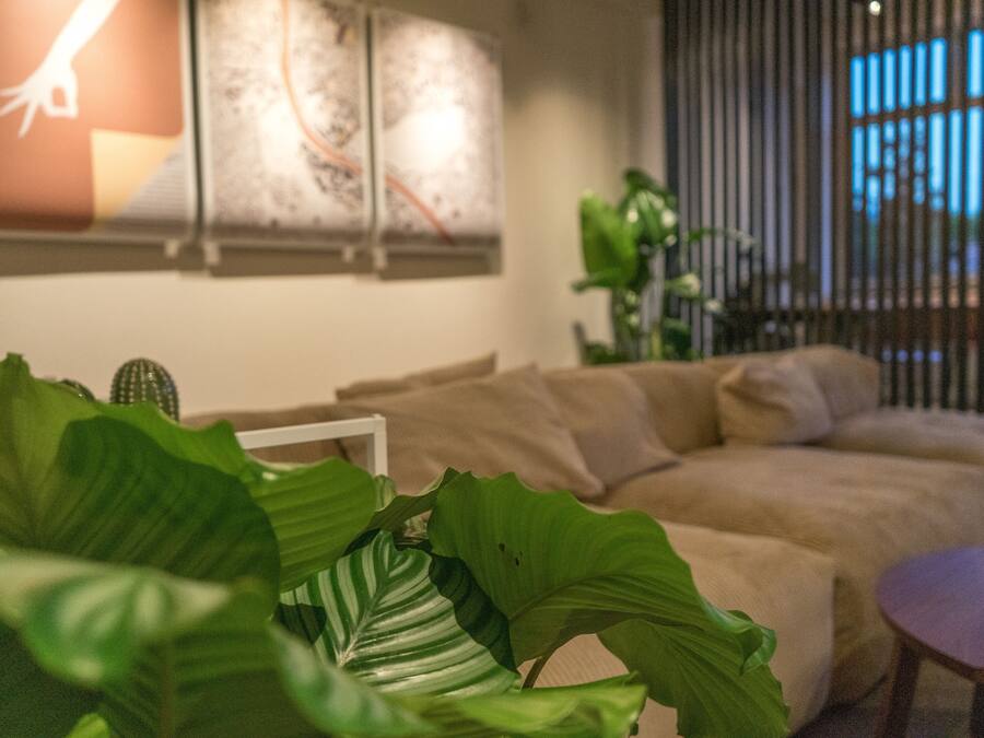 A modern living room with a sofa, a coffee table, and large green plants.