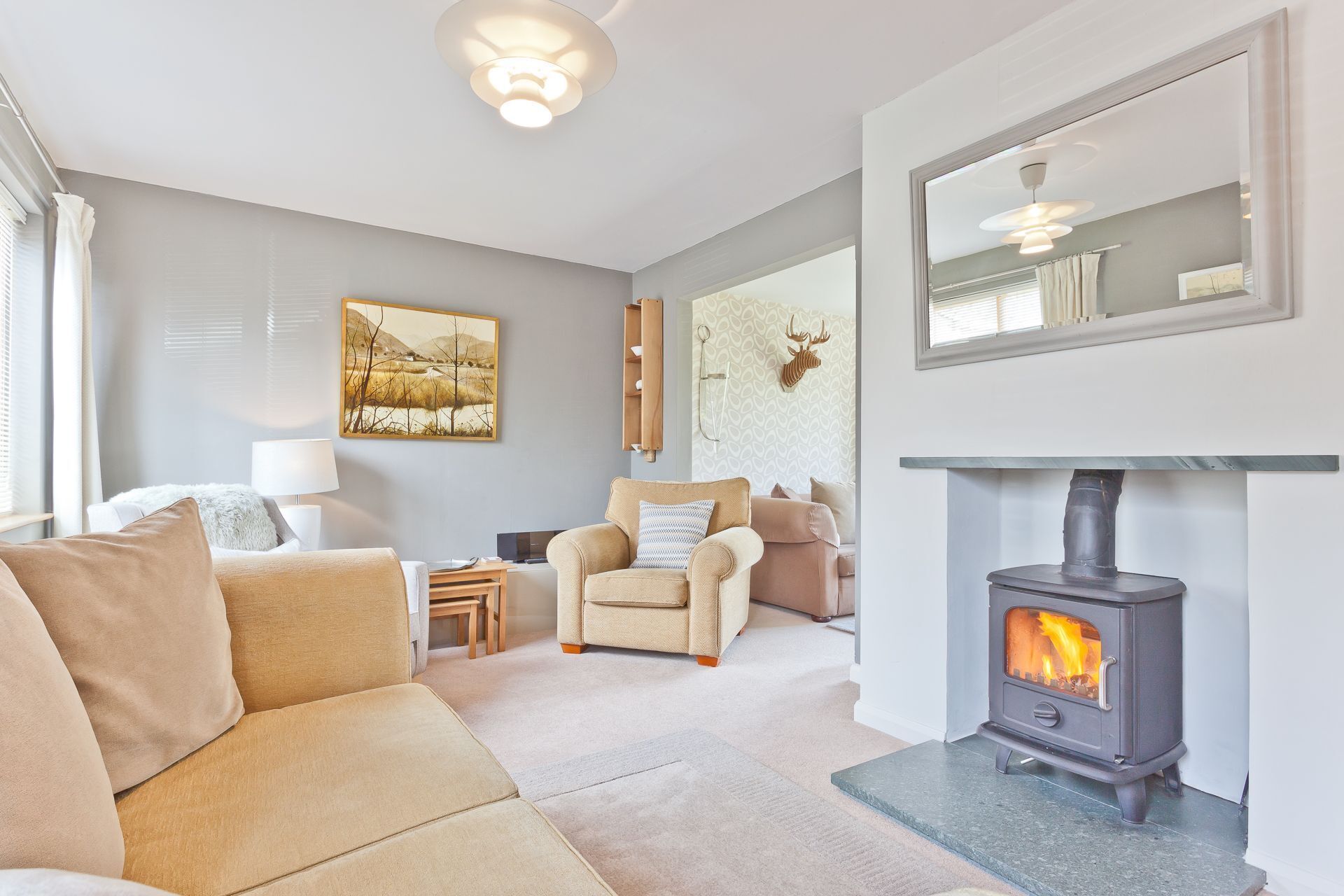 Smart TV, fireplace, DVD player