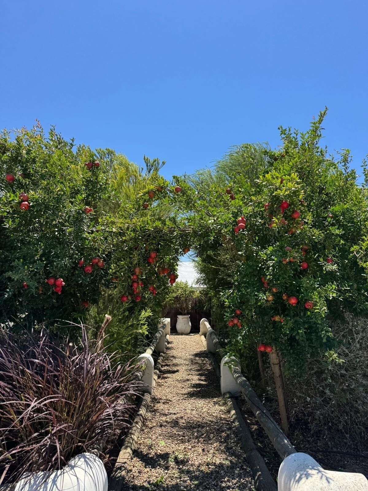 Enceinte de l’hébergement