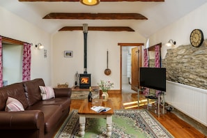 Smart TV, fireplace, DVD player, table tennis