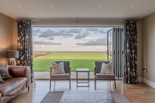 Älytelevisio, takka, videopelejä, stereot