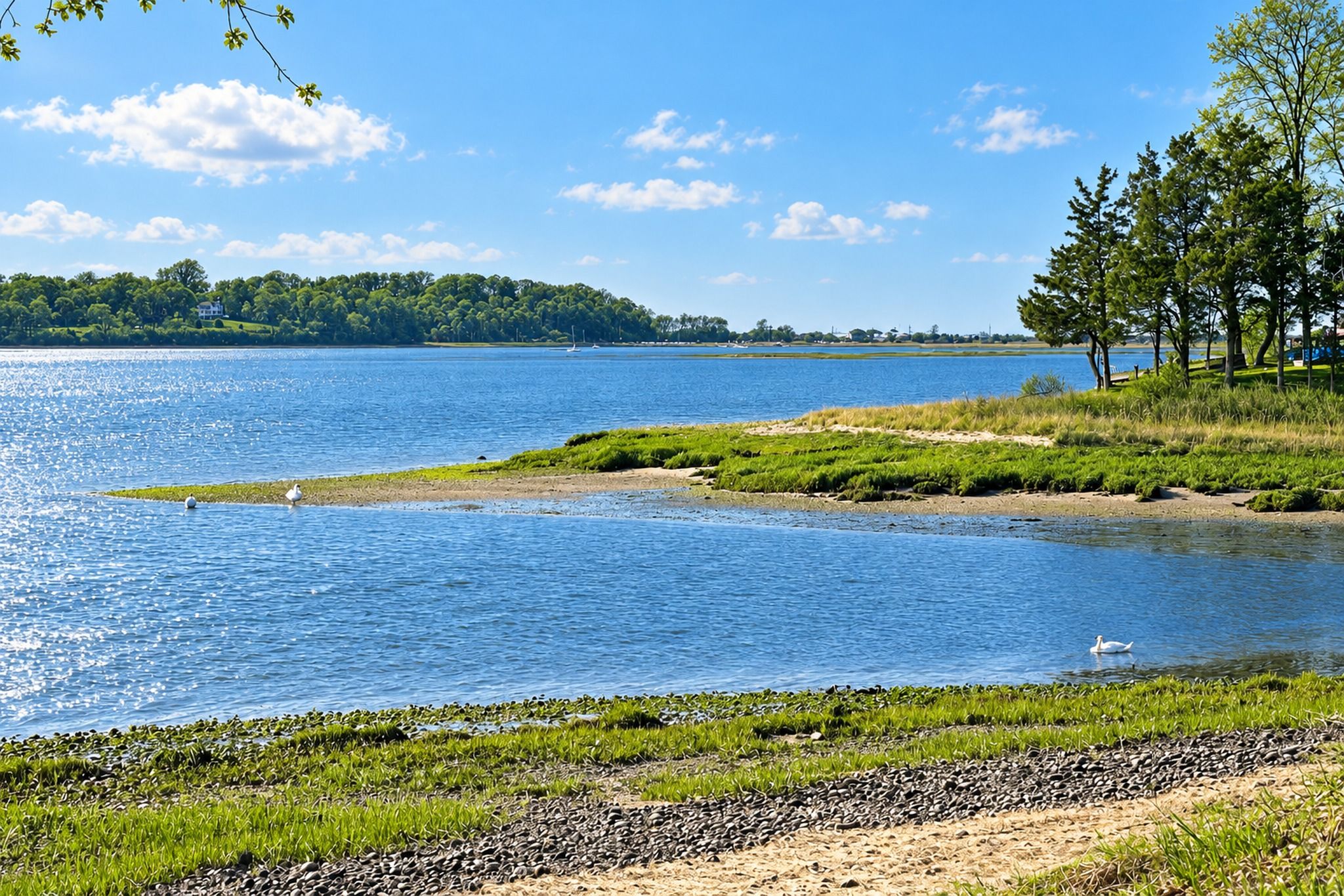 Peaceful inlet views right from the property