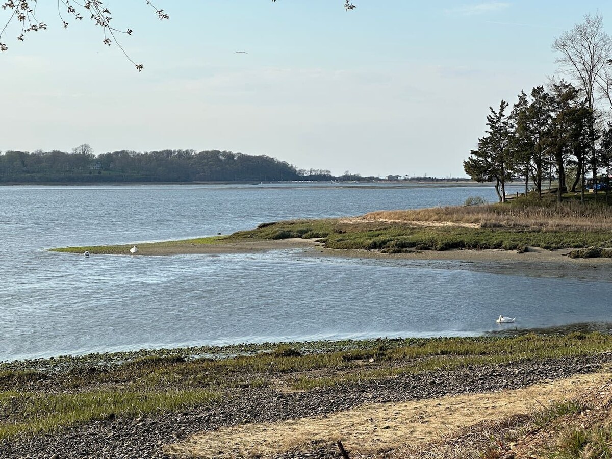 Værtens profilbillede