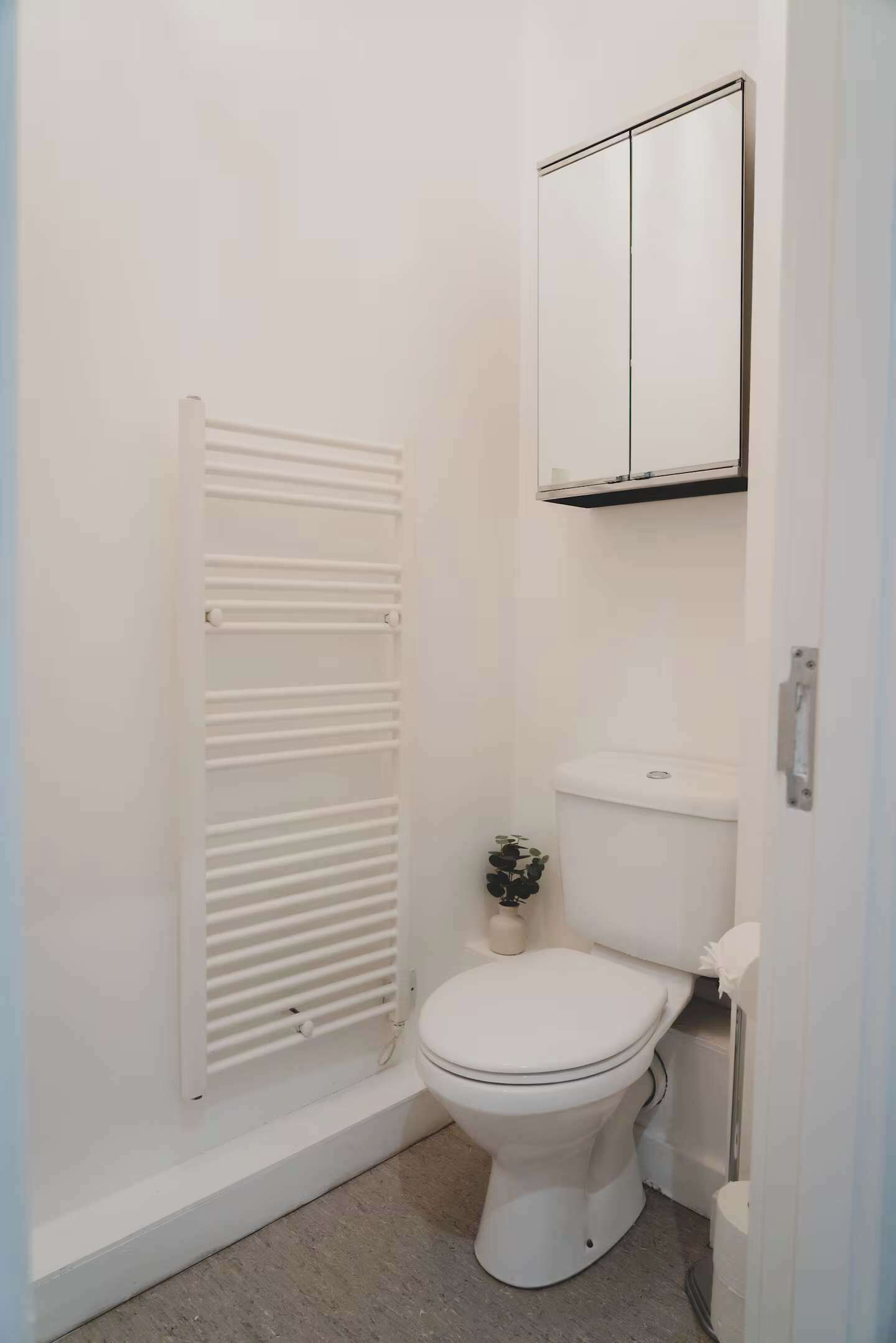 A small, white bathroom with a toilet, a radiator, and a cabinet above the toilet.