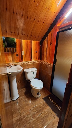 Cabaña familiar, vistas a la montaña | Baño | Ducha y papel higiénico