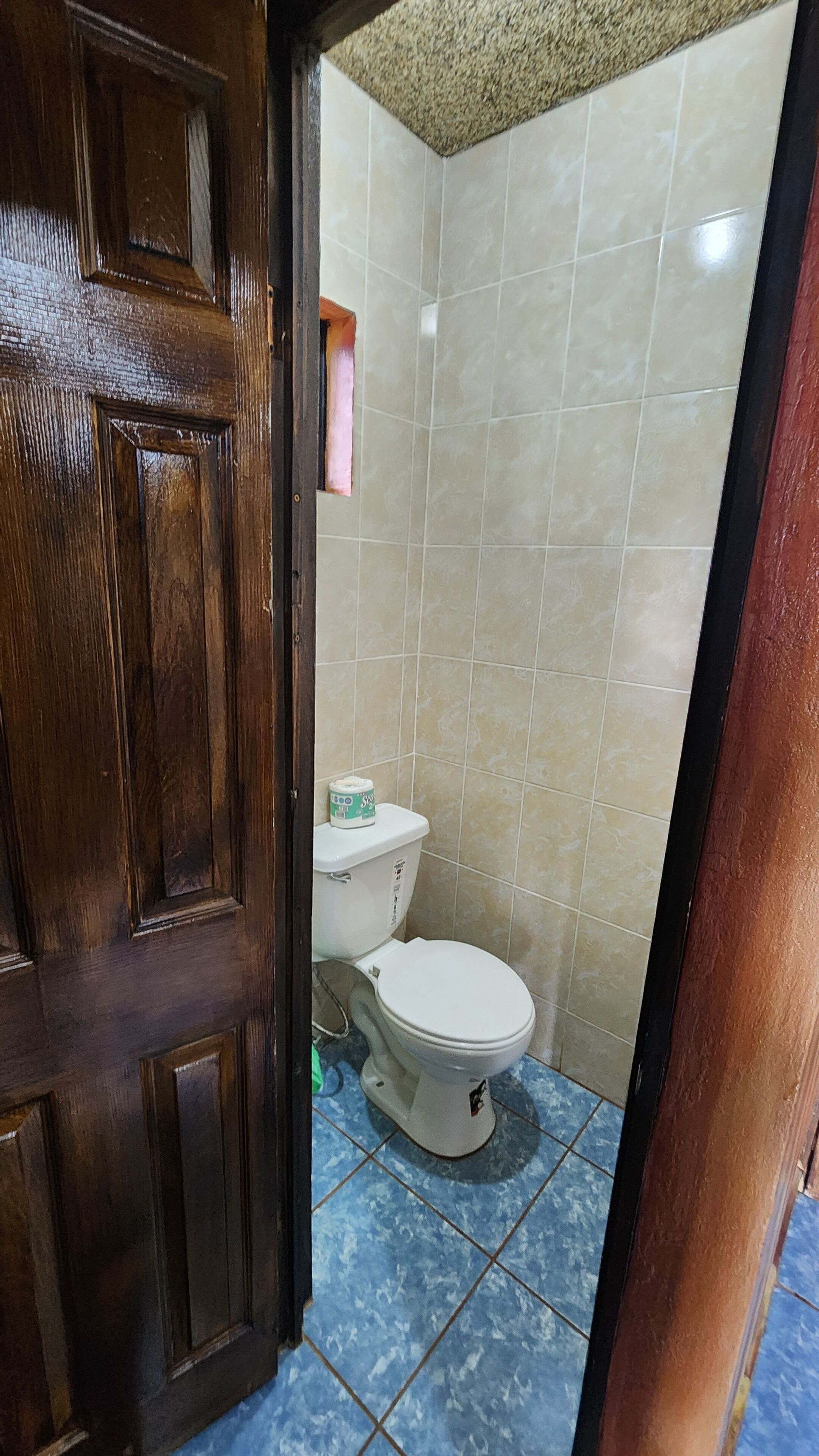 A bathroom with a toilet, blue and beige tiles, and a wooden door.