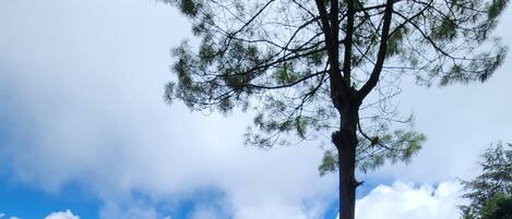 A garden with a swing set, a wooden deck, and a view of the sky and clouds.
